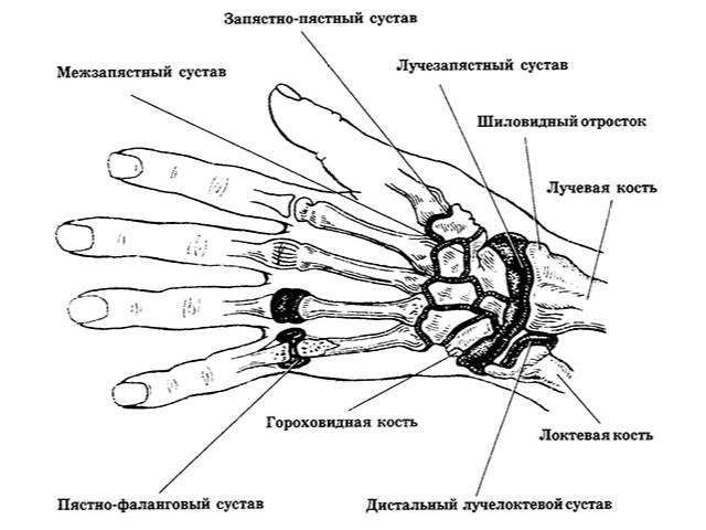Изображение - Ортез на лучезапястный сустав ortez-na-luchezapystnii-sustav