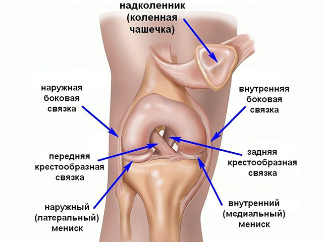 Лигаментита связок коленного